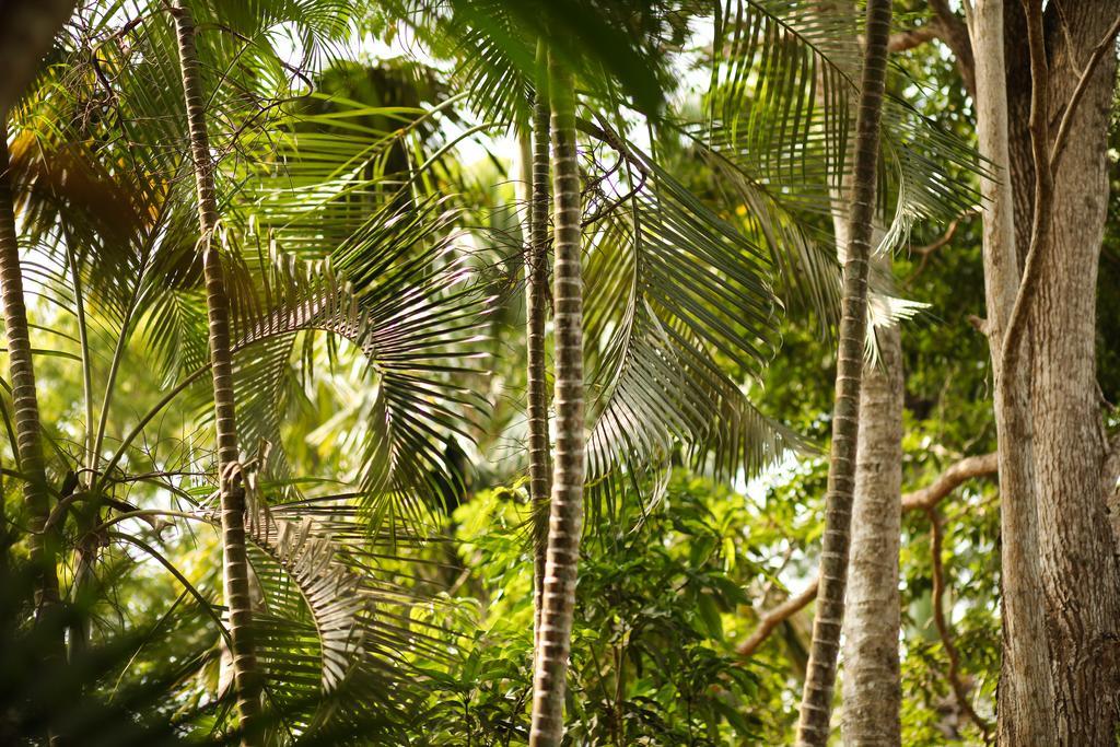 Whispering House Villa Tangalle Luaran gambar